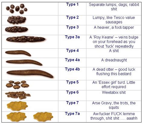 Stool Quality Chart For Dog Poop Use Our Healthy Dog Poop Chart To