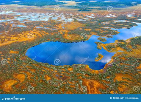 Autumn Landscape West Siberian Plain Stock Image Image Of Gold