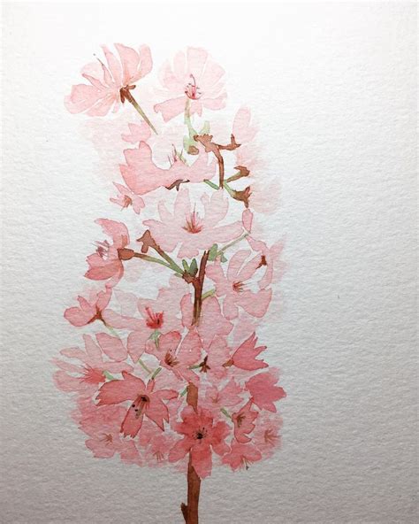 Calligraphy Watercolours On Instagram I Love The Cherry Blossoms