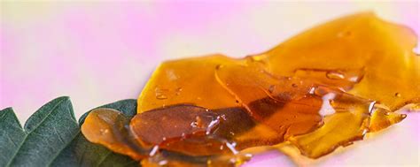 Live Resin Vs Rosin Which Is Right For You Nuggmd