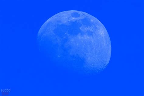 Blue Moon Pentax K 1 • Crop Mode • 100 Iso • Hd Pentax Da Flickr