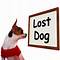 Image result for lost+pet