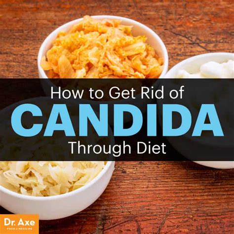 The name candida is of latin origin, and is used mostly in english speaking countries but also in a few other countries and languages of the world. Candida Diet: The Foods & Supplements to Eat (and Avoid ...