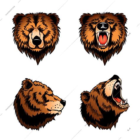 Colored Set Of Four Isolated Bear Heads In Profile And Front View On