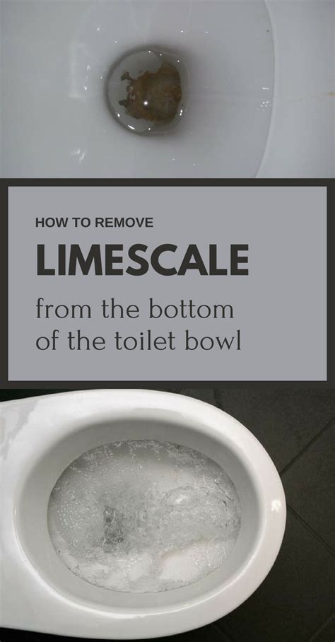 how to remove urine stains toilet bowl howtoremvo