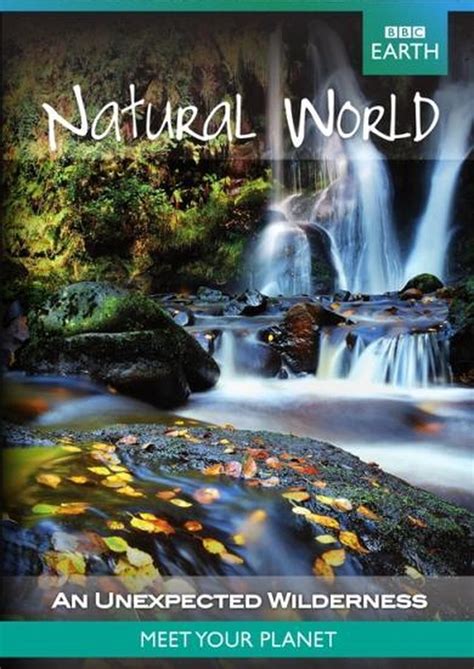 Bbc Earth Natural World An Unexpected Wilderness Dvd Dvds