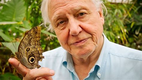 Bbc Two David Attenboroughs Natural Curiosities
