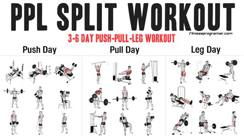 Push Pull Legs Push Pull The Push Pull Legs Split For Building Muscle