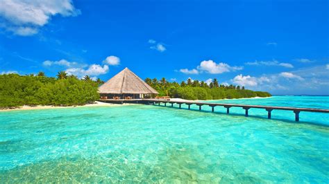Maldivas Cielo Mar Océano Isla Palmeras Los Bungalows Puente