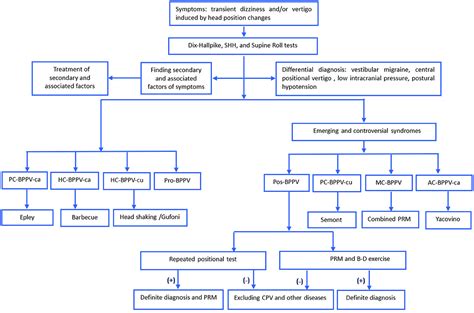 Frontiers Clinical Characteristics Of Patients With Benign Paroxysmal