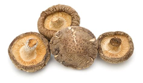9 Delicious Types Of Edible Mushrooms Nutrition Advance