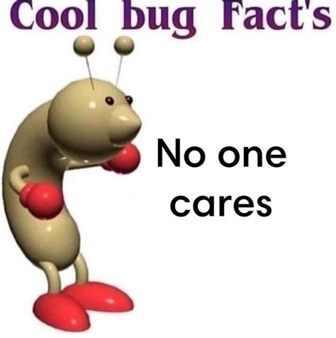 No One Cares Cool Bug Facts Know Your Meme