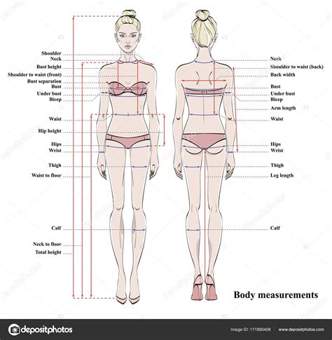 Woman Body Measurement Chart Scheme Measurement Human Body Sewing Clothes Stock Illustration By