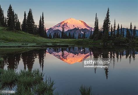 Parque Nacional Del Monte Rainier Fotografías E Imágenes De Stock