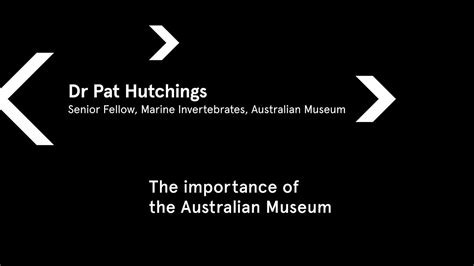 Dr Pat Hutchings The Importance Of The Australian Museum Youtube