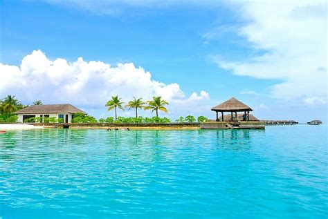 Maldives Coconut Tree Sea Resort Summer Holiday Sky Ocean Beach