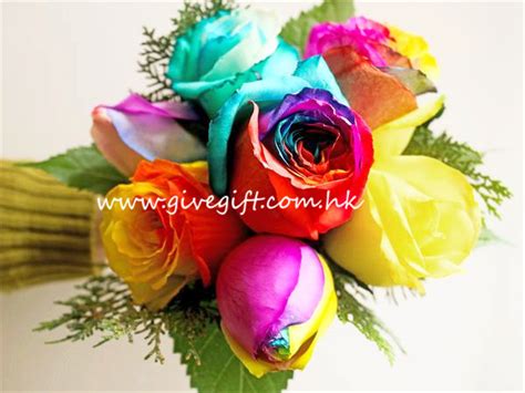 How To Diy Rainbow Roses Faq Give T Boutique Flower Shop