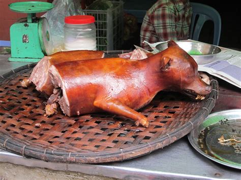 Hanoi Roast Dog Its What Vietnams Cooking Aka ”河内考狗“ Afteralex
