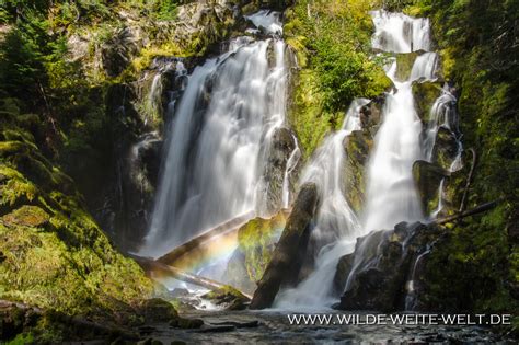 National Creek Falls Wilde Weite Weltde