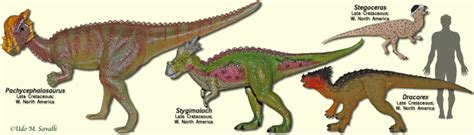 Pachycephalosaurus Land Before Time
