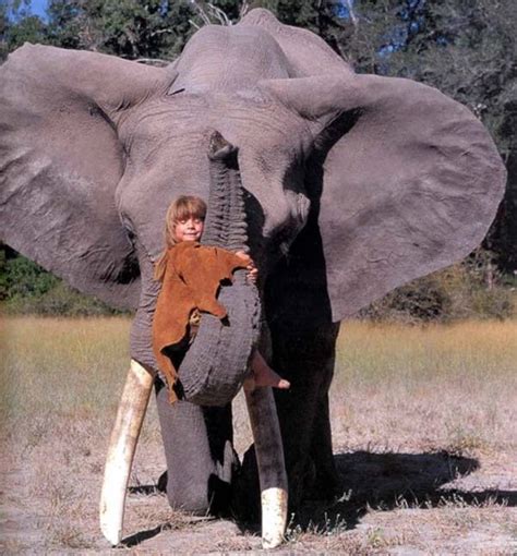 Conoce Y Envidia A Tippi La Ni A Que Fue Criada En La Selva