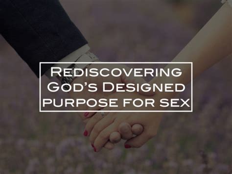 Rediscovering Gods Purpose For Sex Focus Press