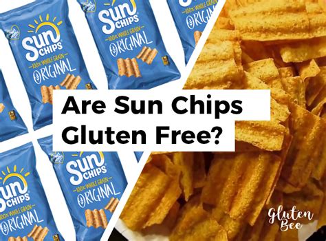 Directions in large plastic bag, combine crushed potato chips, parsley, salt, paprika, and onion powder. Are Sun Chips Gluten Free? - GlutenBee