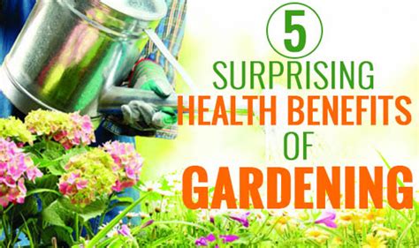 5 Surprising Health Benefits Of Gardening The Wellness Corner