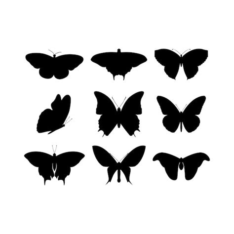 Illustration Vectorielle De Papillon Silhouette Vecteur Premium