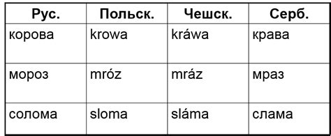 Разнообразие языков Принципы классификации языков Генеалогическая