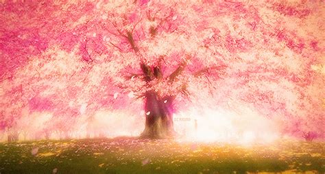 Pin By Demon Lee On Imagine Anime Scenery Anime Cherry Blossom