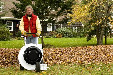Easy Tips To Get Your Lawn Ready For Winter