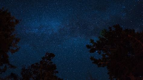 1920x1080 Starry Sky Night Earth Stars Tree Wallpaper 