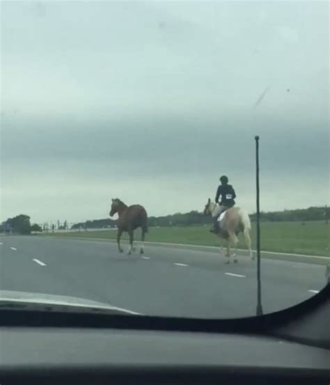 La Niña Salva A Un Caballo Desbocado En Una Carretera Muy Transitada