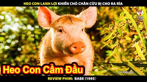 Heo Con Lanh Lợi Khiến Chó Chăn Cừu Bị Ra Rìa Review Phim Babe 1995