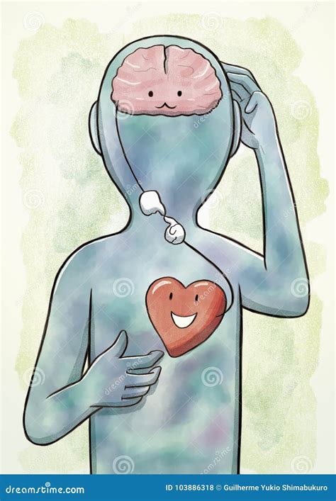 Connection Of Brain And Heart Stock Illustration Illustration Of