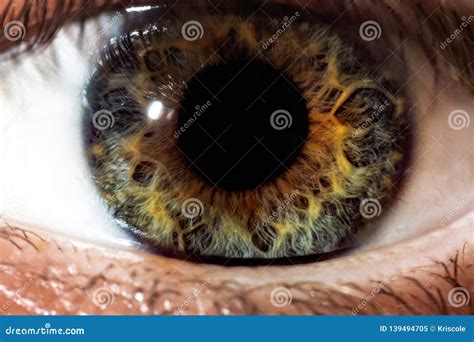 Human Eye Close Up Macro Beautiful Iris And The Pupil Of The Eye