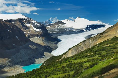 Saskatchewan Glacier Banff National Park Alan Majchrowicz Photography