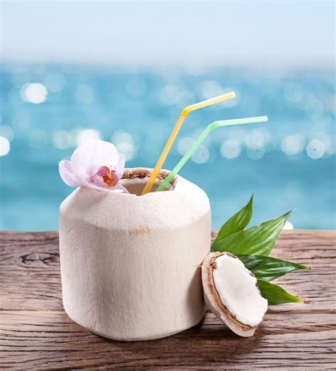 신선한 코코넛 과일코코넛 물베트남 신선한 코코넛 2020 Buy 신선한 코코넛신선한 코코넛 가격사양 신선한 코코넛