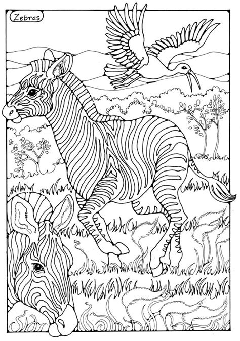 Animals To Colour In