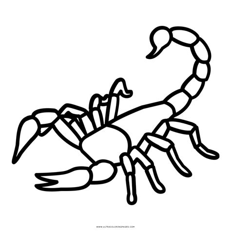 Las Mejores 161 Escorpion Dibujo Para Colorear