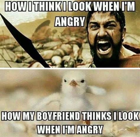 25 Angry Memes That Can Help You Laugh Away Your Anger