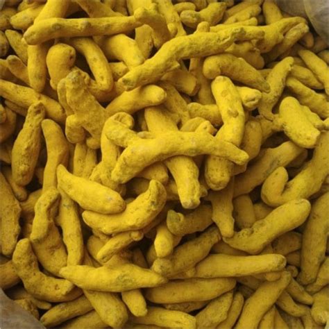 Turmeric Finger Grade Spice At Best Price In Ahmedabad Andalan