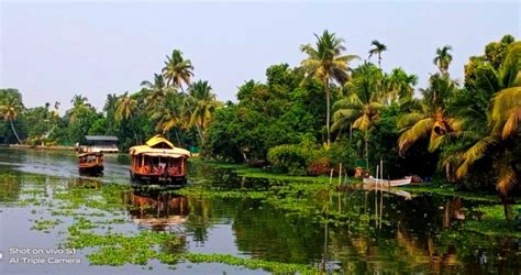 Best Of Kerala Backwaters Hill Stations And Beach Tour India Kerala