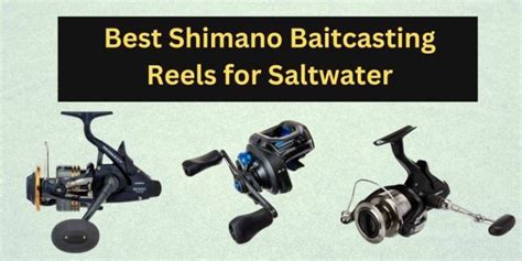 10 Best Shimano Baitcasting Reels For Saltwater In 2023