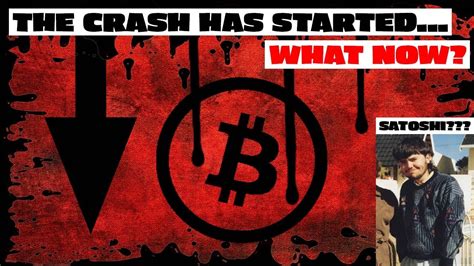 Additionally, most people now own bitcoins adding to the firm foundation. The Bitcoin Crash Has Started... What Now? + NEW SATOSHI ...
