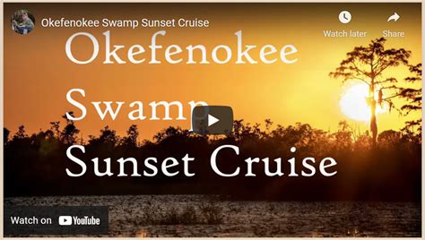 Okefenokee Swamp Sunset Boat Tour Okefenokee Photography Project By