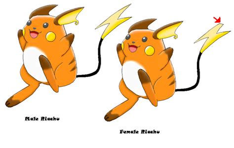 Pokemon Images Pikachu Pokemon Go Different Tail