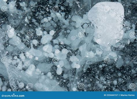 Methane Bubbles In A Clear Frozen Lake In Winter Stock Image Image Of