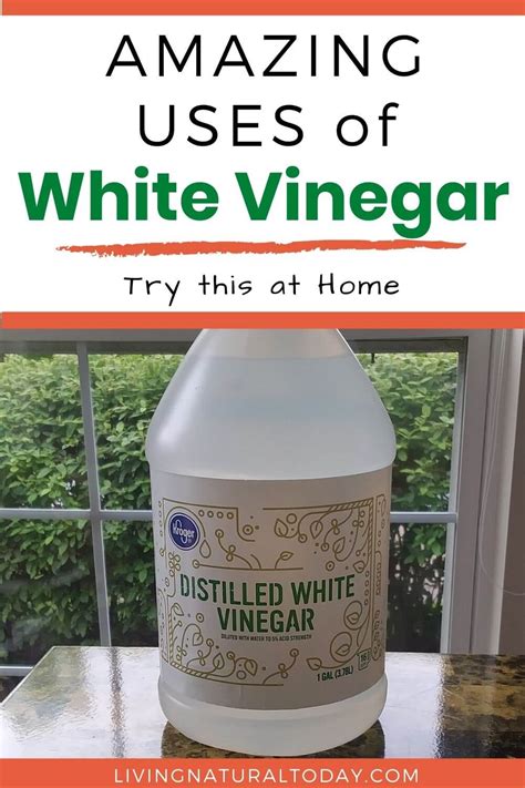 Amazing Uses Of White Vinegar At Home Living Natural Today
